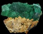 Silky, Fibrous Malachite Crystals on Matrix - Morocco #42068-1